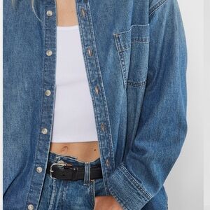Aritzia Denim Forum Shirt